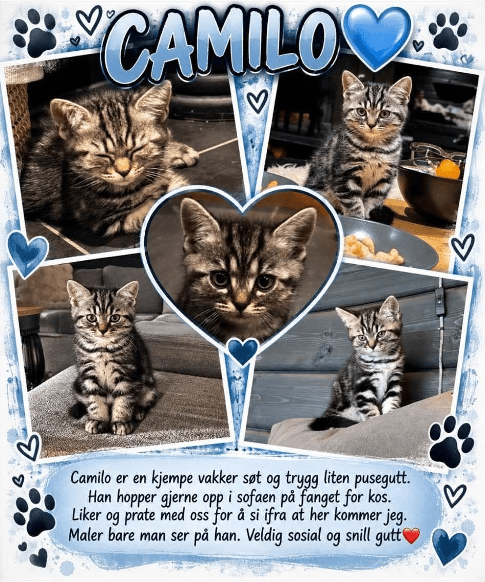 Camillo
