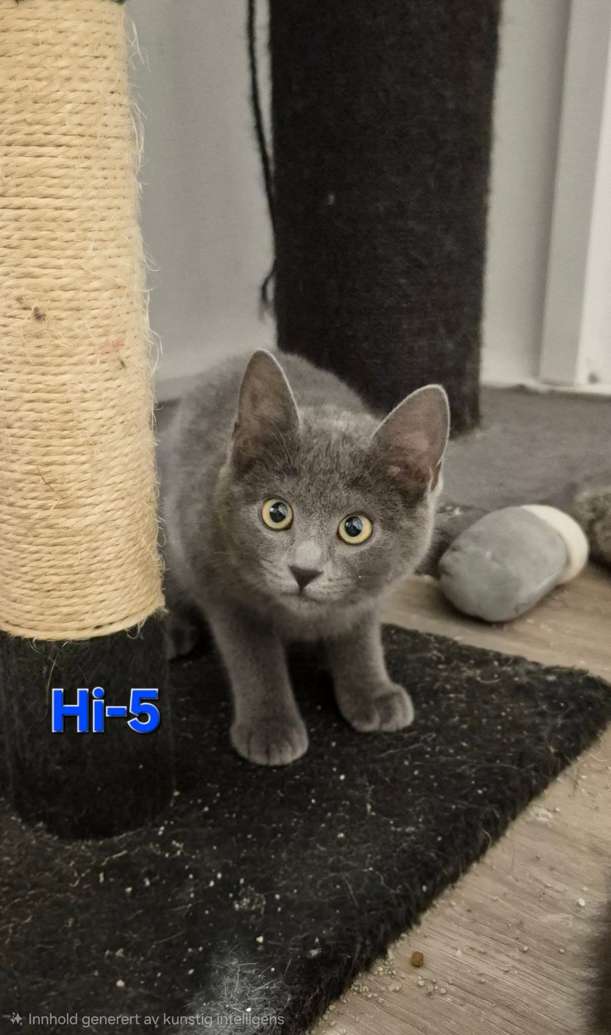 Hi-5
