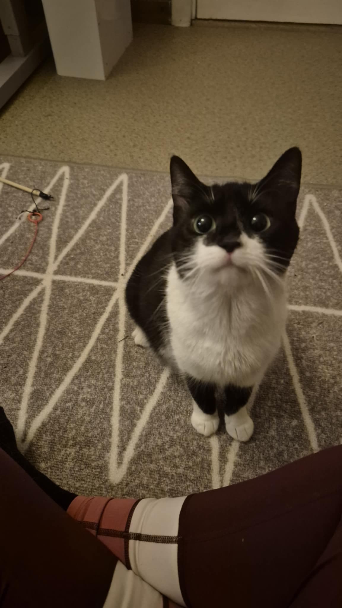 Missy