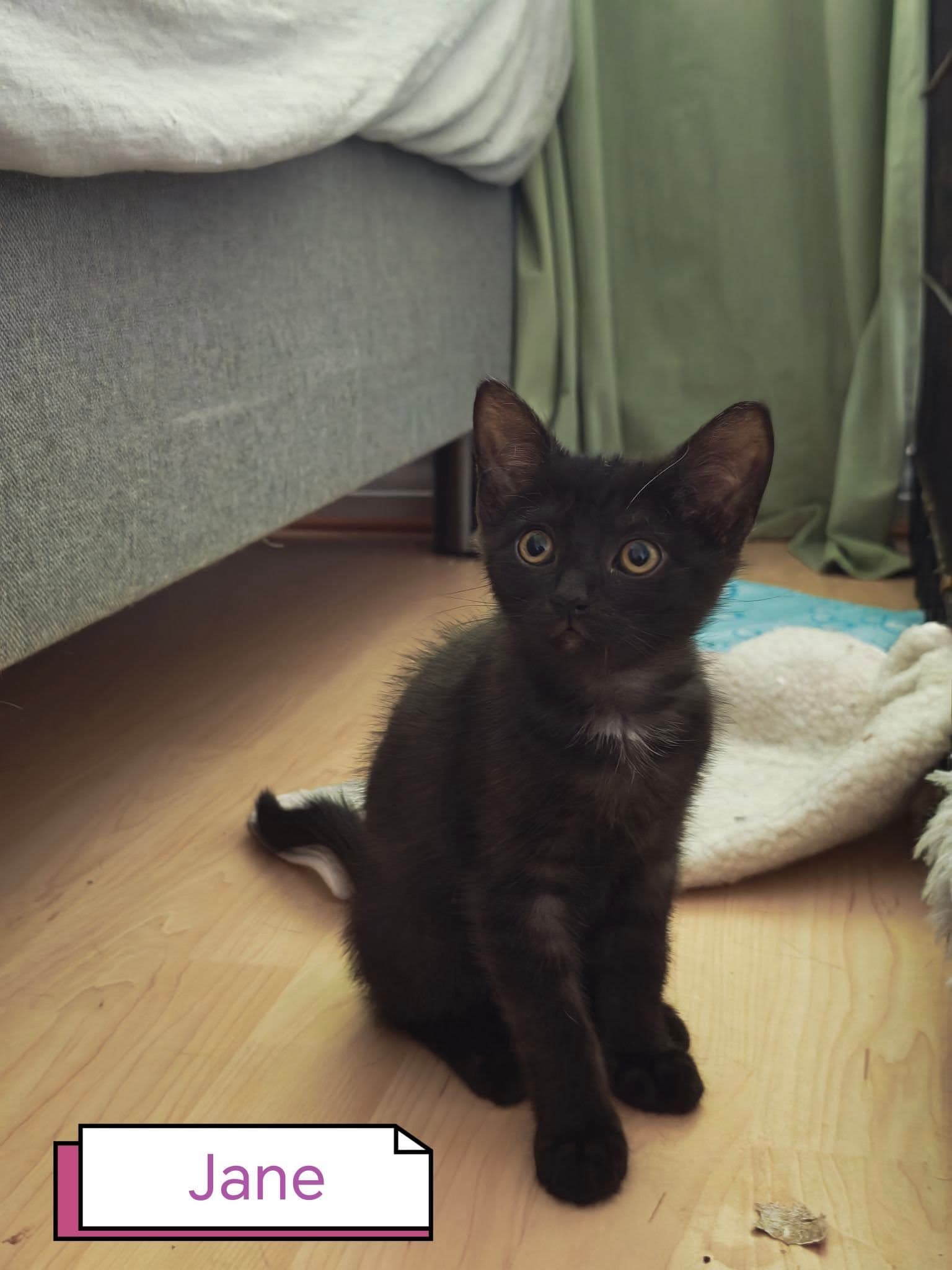 Jane