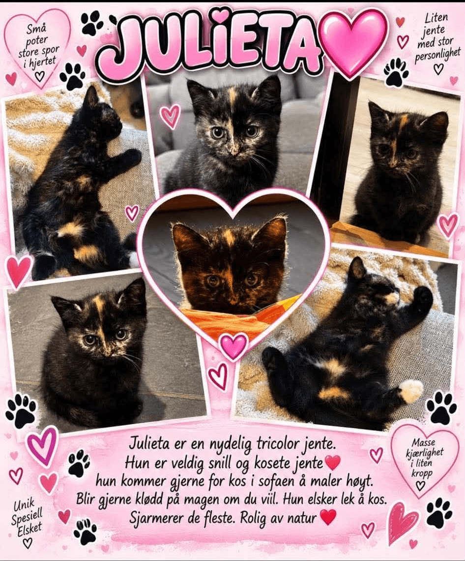 Julieta